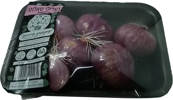 בצלצי שאלוט הקסם הירוק