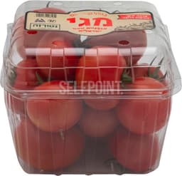 עגבניות מגי