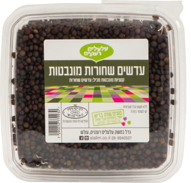 עדשים שחורות מונבטות