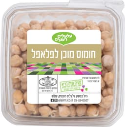 חומוס מונבט