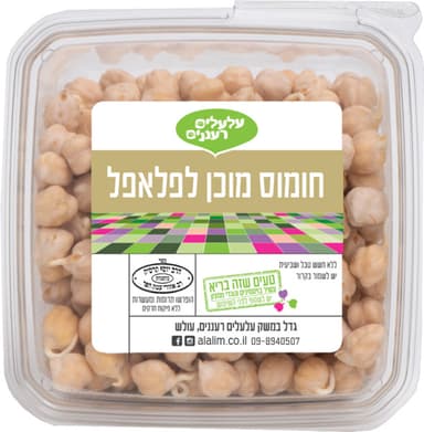 חומוס מונבט