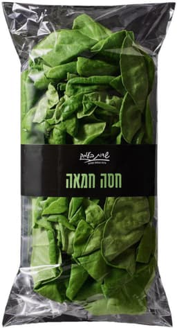 חסה חמאה שדות בעמק