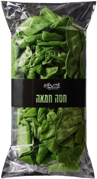 חסה חמאה שדות בעמק