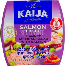 סלט מקסיקני עם סלומון 170 גרם