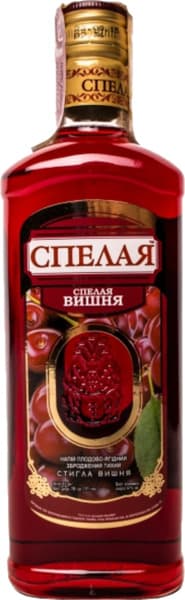 שכר דובדבן זלטוגור 5