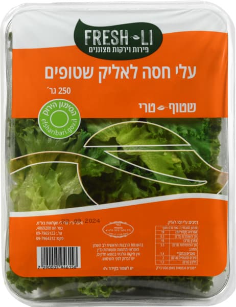 עלי לאליק שטופים