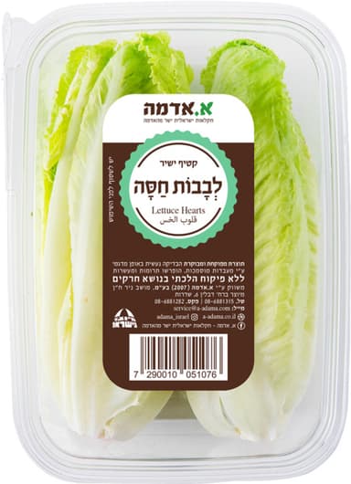 לבבות קיסר א.אדמה