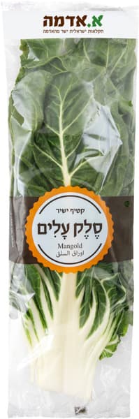 מנגולד עלי סלק א.אדמ