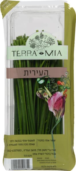 עירית ארוזה