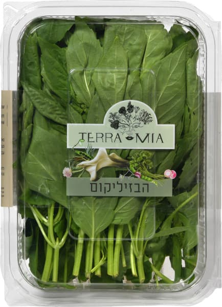 בזיל
