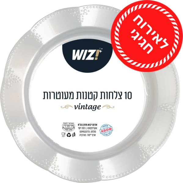 צלחות וינטג' קטנות 1