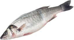 לברק שלם נקי טרי ק"ג