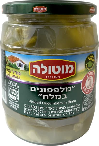 מלפפון במלח קטן צנצנ