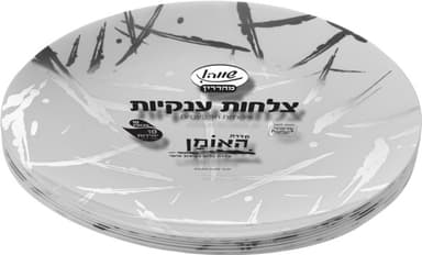 צלחת ענק  10.25 האומן לבן/כסף