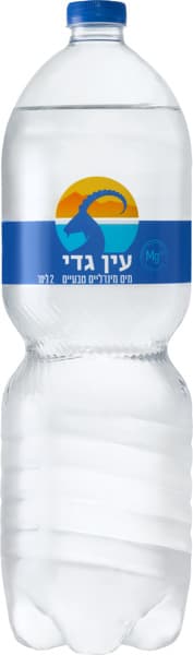 מים 2 ל' עין גדי