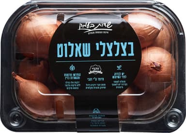 בצל שאלוט שדות בעמק