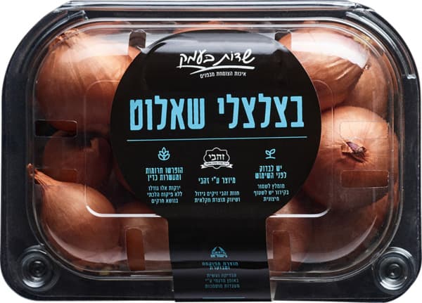 בצל שאלוט שדות בעמק