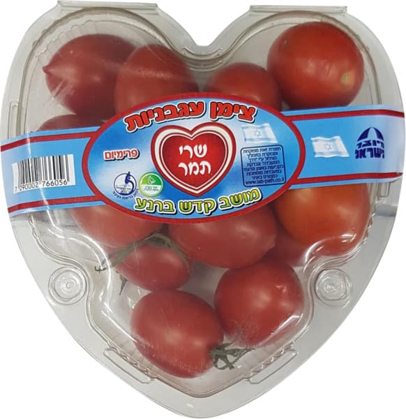 עגבניה שרי תמר