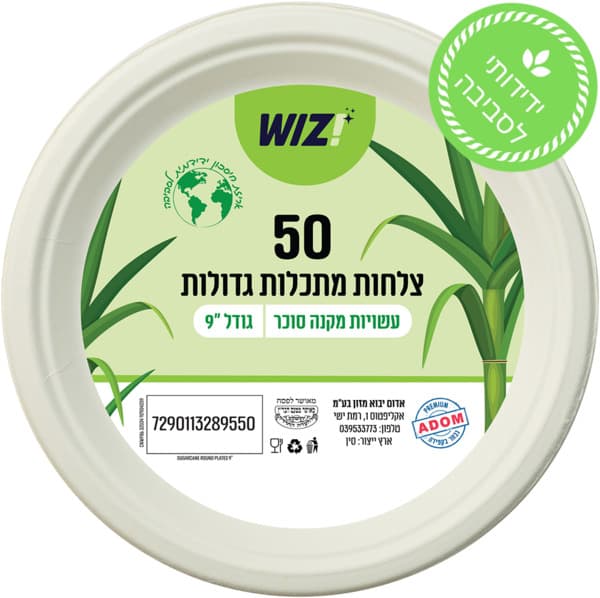 צלחות מתכלות גדולות