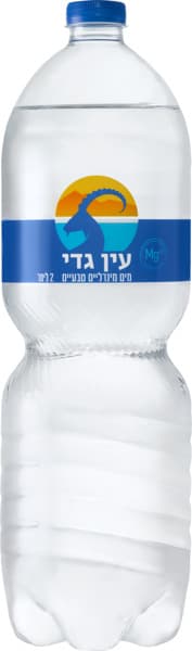 מים 2 ל' עין גדי