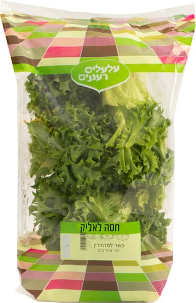 חסה לאליק ארוזה