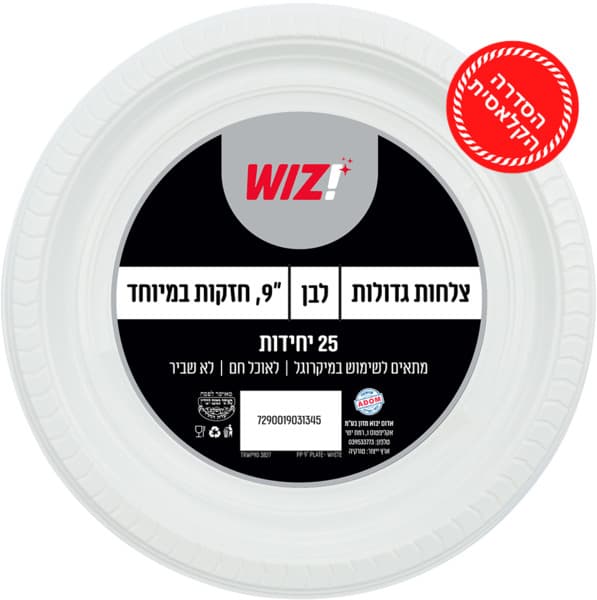 צלחות גדולות 9 לבן 2