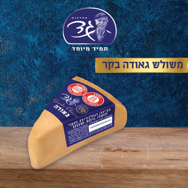 גאודה בקר משולש במשקל