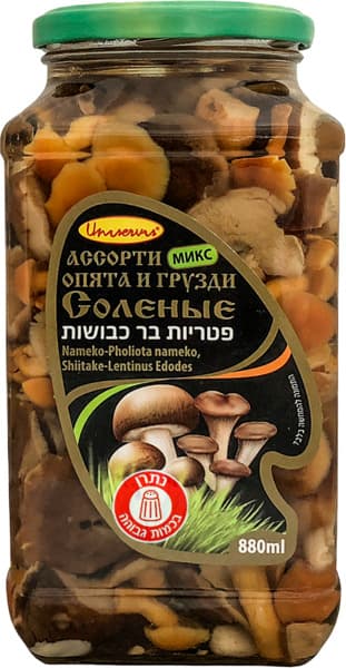 אסורטי פטריות במלח 8