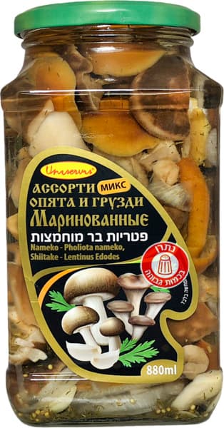 אסורטי פטריות מוחמצו