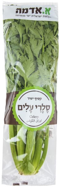 סלרי עלים יחידה