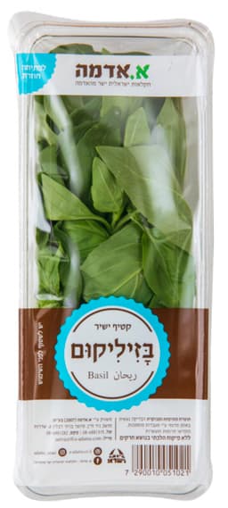 בזיליקום א. אדמה