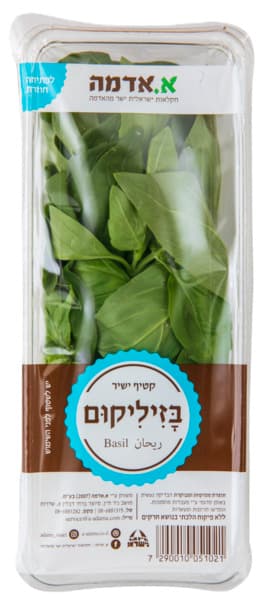 בזיליקום א. אדמה