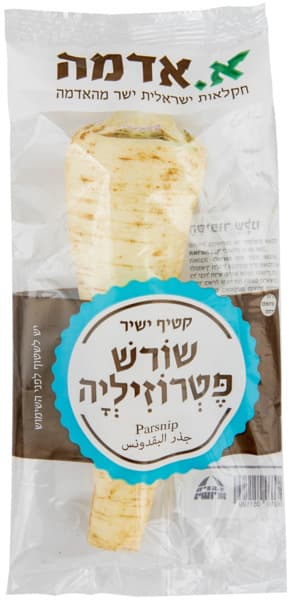 שורש ארוז .