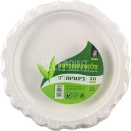 צלחות מתכלות דנטס   
