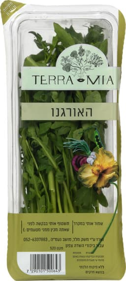 אורגנו ארוז