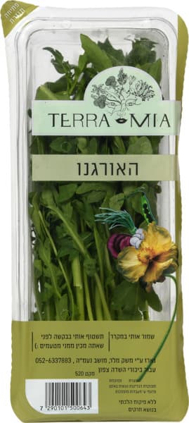 אורגנו ארוז