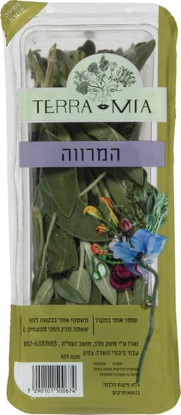 מרווה ארוזה