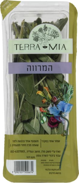 מרווה ארוזה