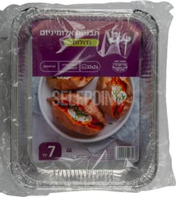 תבנית טאצ R31 105   