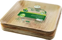 צלחות דקל מרובעות ענקיות 10  יח`שווה*