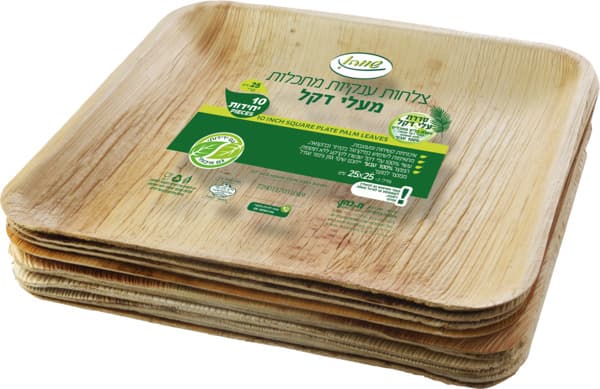 צלחות דקל מרובעות ענקיות 10  יח`שווה*