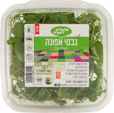 נבטי אפונה