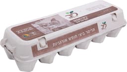 תבנית ביצים אורגניות