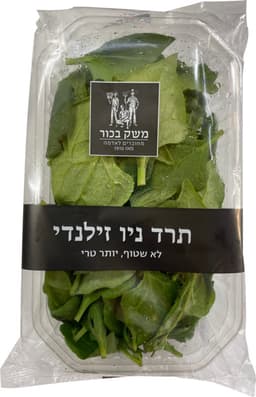 תרד ניו זילנדי