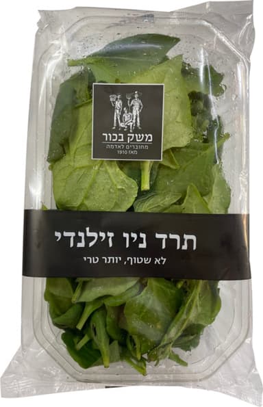 תרד ניו זילנדי