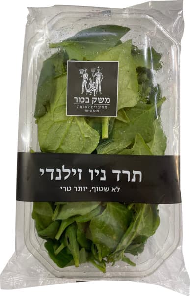 תרד ניו זילנדי