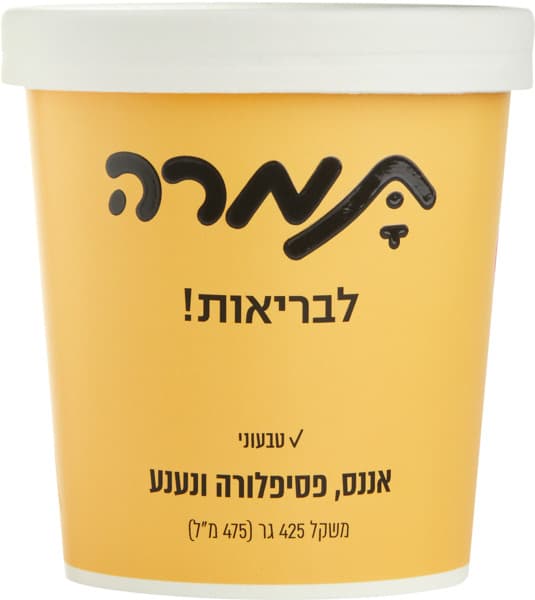 גלידת סורבה אננס 475 מ"ל