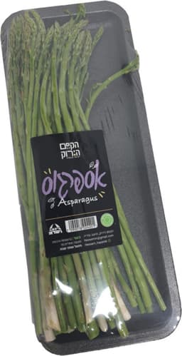 אספרגוס יח'