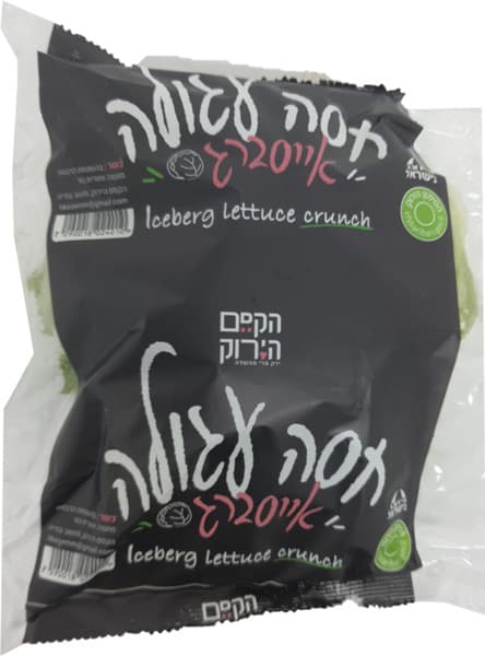 חסה עגולה / אייסברג הקסם הירוק