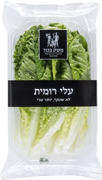 עלי רומית